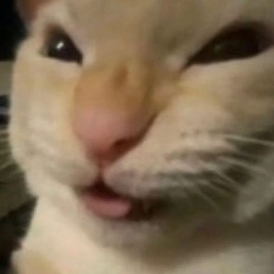 About Yuvraj Chavhan